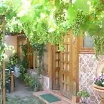 Bed & Breakfast Marino E Lily Baratili San Pietro