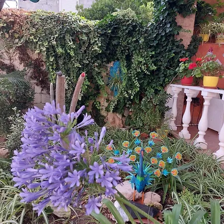 Bed & Breakfast Marino E Lily