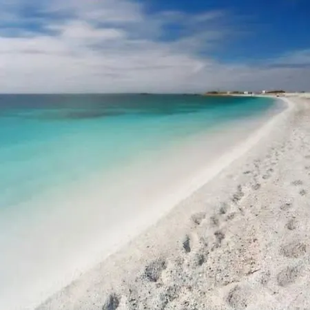 Marino E Lily Baratili San Pietro