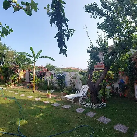Marino E Lily Oda ve Kahvaltı