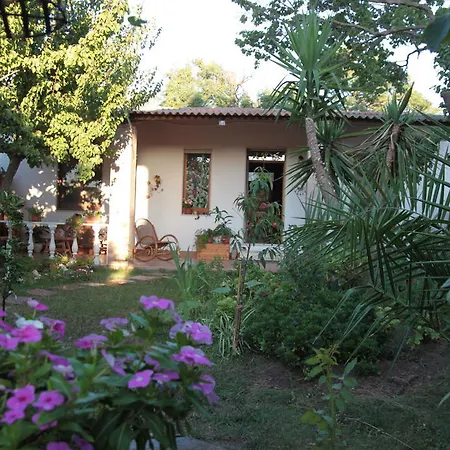 Bed & Breakfast Marino E Lily 3*